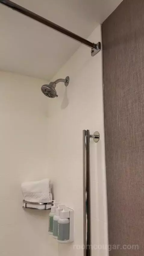 Suite with Two Queen Beds and Trundle Bed - Hearing Accessible bathroom picture #9