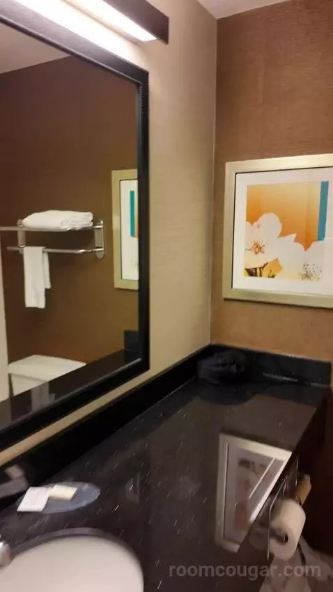 Queen Room with Two Queen Beds bathroom picture #2