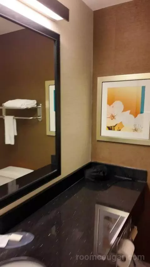 Queen Room with Two Queen Beds bathroom picture #3
