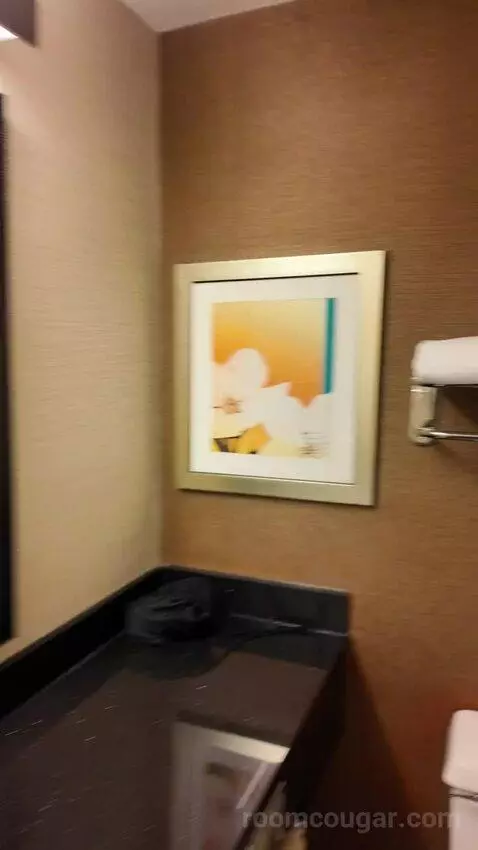 Queen Room with Two Queen Beds bathroom picture #6