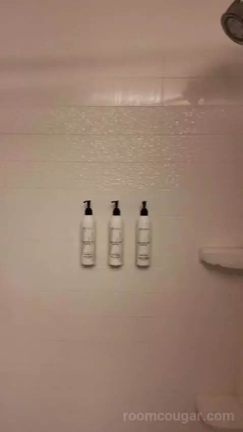 Queen Room with Two Queen Beds bathroom picture #9
