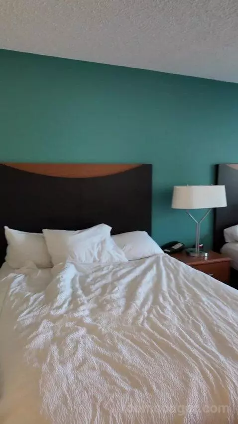 Queen Room with Two Queen Beds bed picture #4