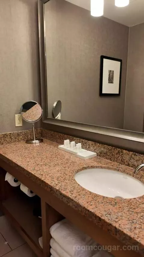 Queen/Double Room bathroom picture #3