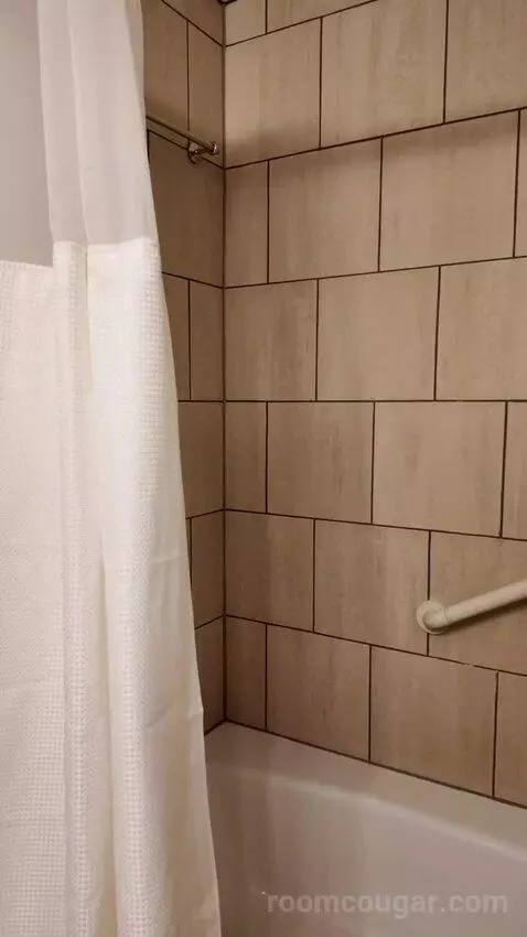 Queen/Double Room bathroom picture #11