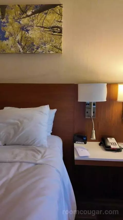 Queen Room with Two Queen Beds bed picture #8