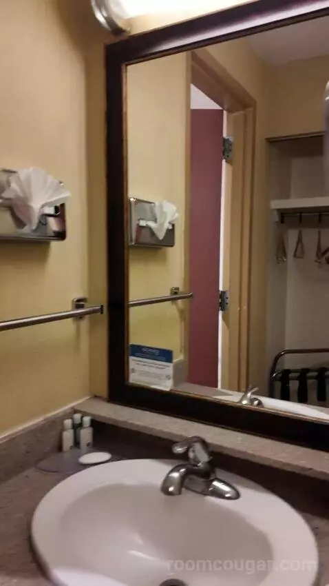 Queen Room with Two Queen Beds bathroom picture #6