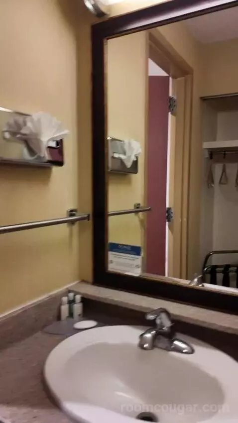 Queen Room with Two Queen Beds bathroom picture #7