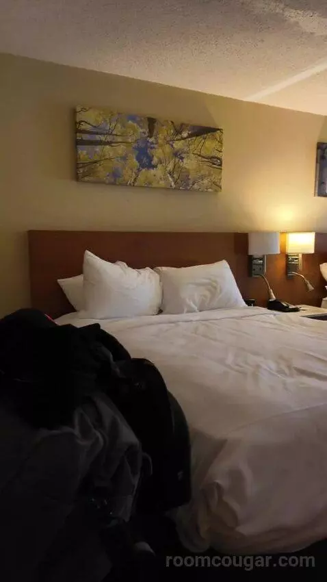 Queen Room with Two Queen Beds bed picture #10