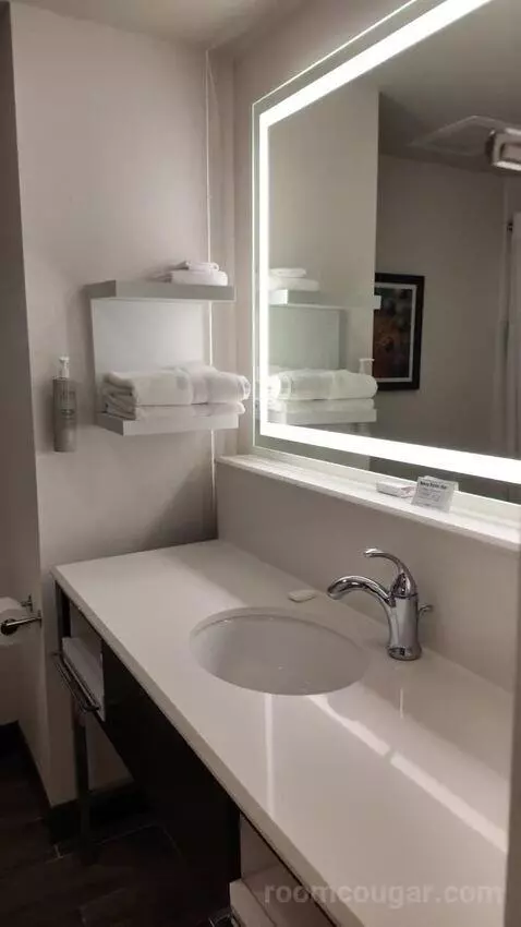 Queen Room with Two Queen Beds bathroom picture #1