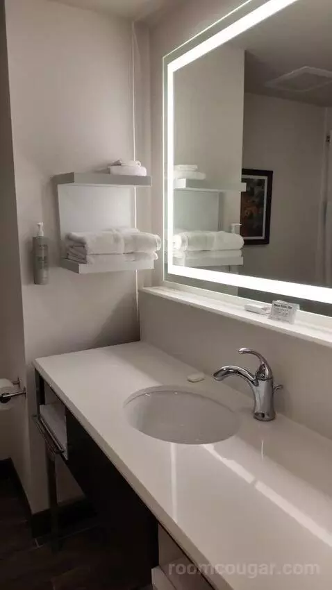 Queen Room with Two Queen Beds bathroom picture #2