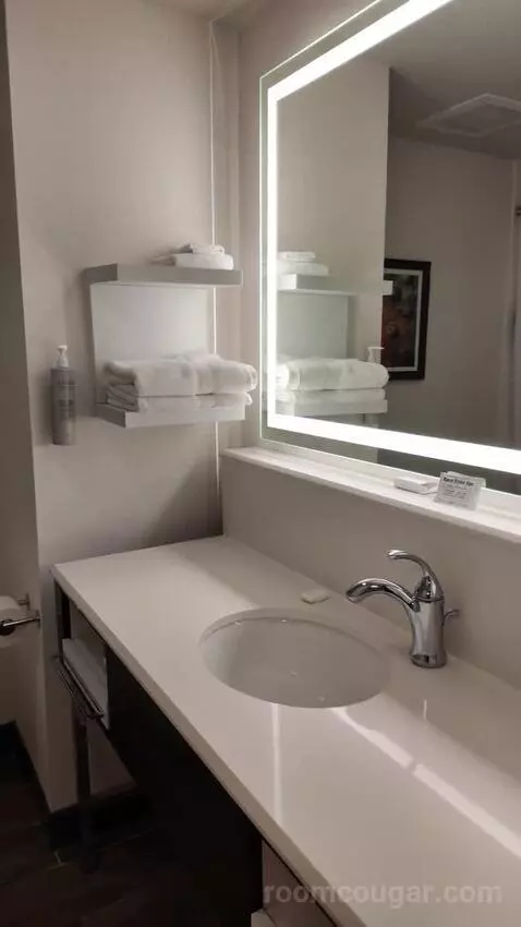 Queen Room with Two Queen Beds bathroom picture #3