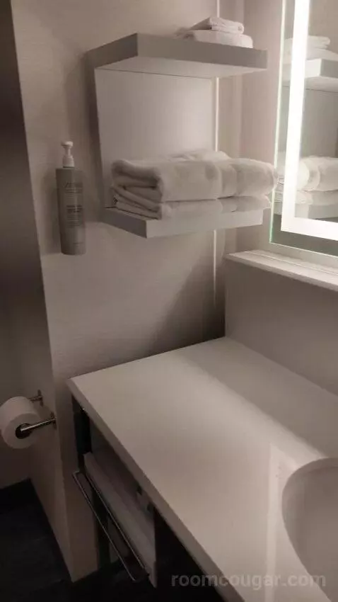 Queen Room with Two Queen Beds bathroom picture #4