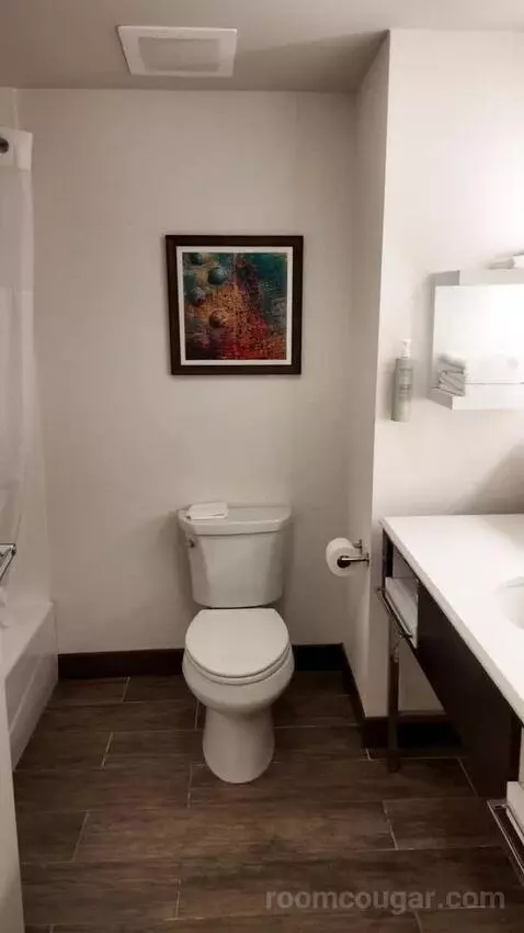 Queen Room with Two Queen Beds bathroom picture #10