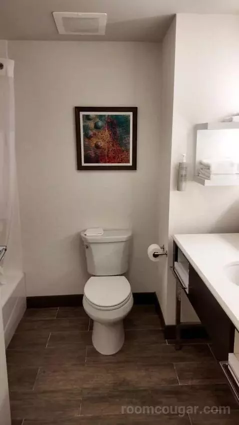 Queen Room with Two Queen Beds bathroom picture #11