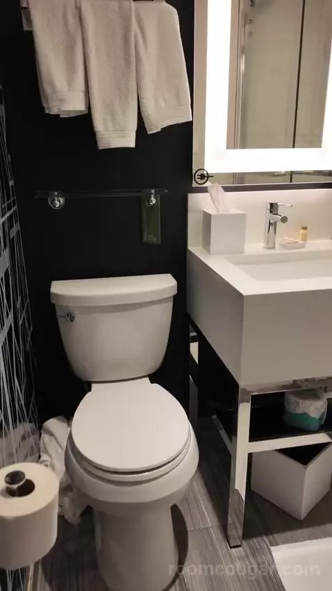 Standard Room with Two Double Beds bathroom picture #1