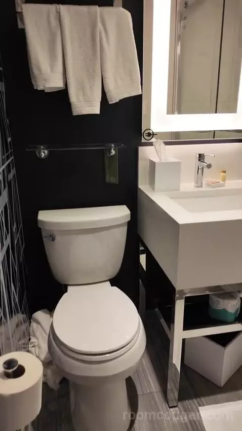 Standard Room with Two Double Beds bathroom picture #2