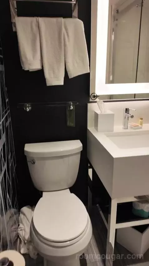 Standard Room with Two Double Beds bathroom picture #4