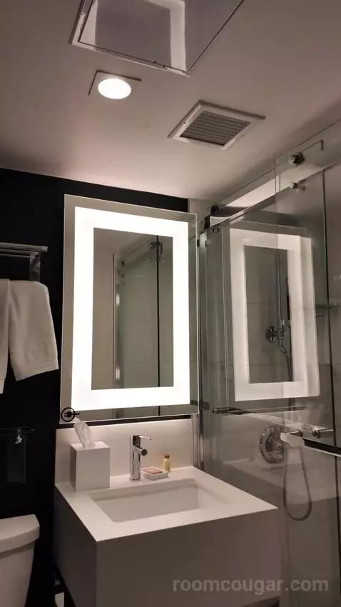 Standard Room with Two Double Beds bathroom picture #5