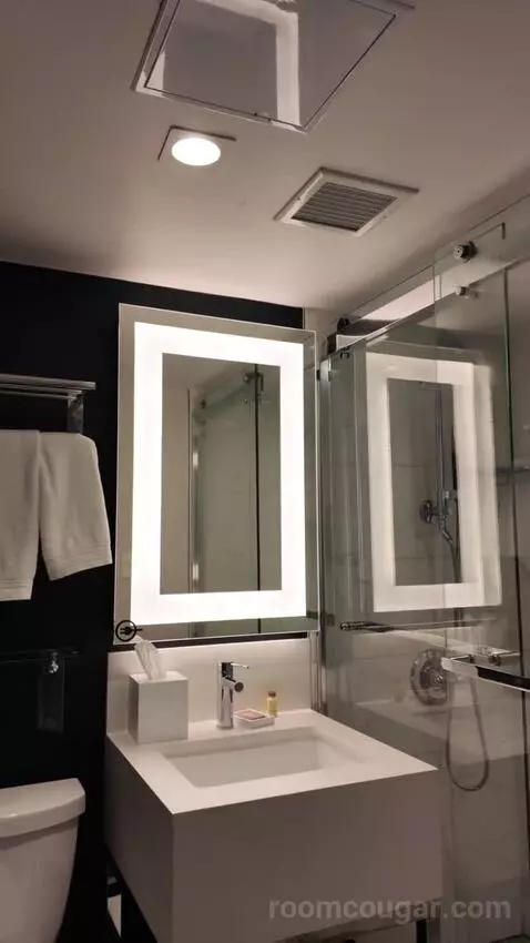 Standard Room with Two Double Beds bathroom picture #8