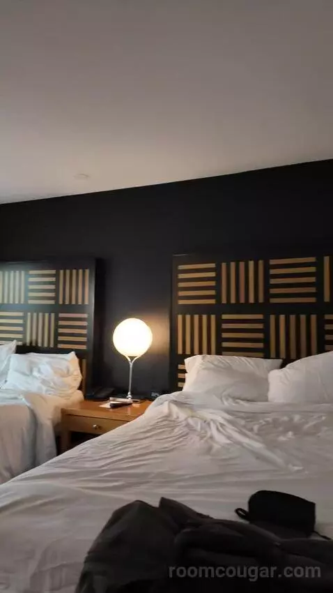 Standard Room with Two Double Beds bed picture #11