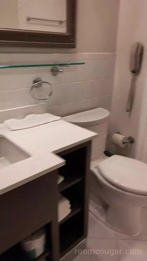 Double Room with Two Double Beds bathroom picture #8