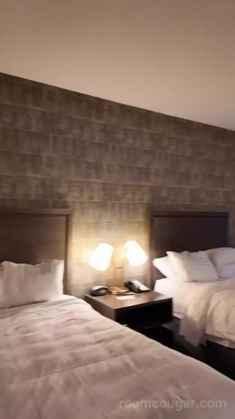 Double Room with Two Double Beds bed picture #7