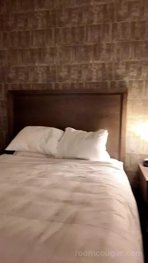 Double Room with Two Double Beds bed picture #3