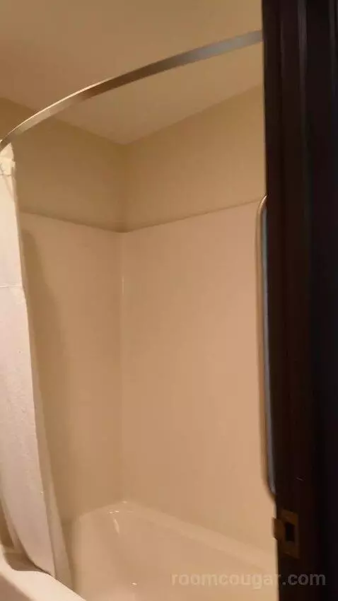 Standard bathroom picture #10