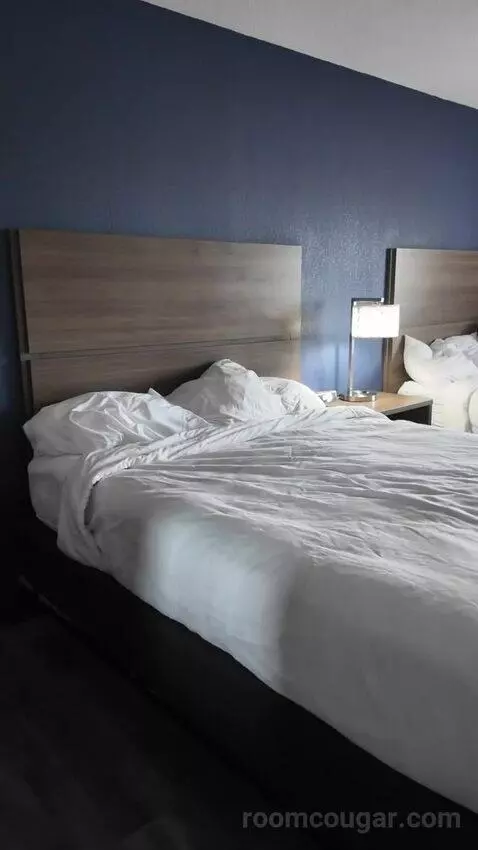 Efficiency Queen Suite with Two Queen Beds bed picture #1