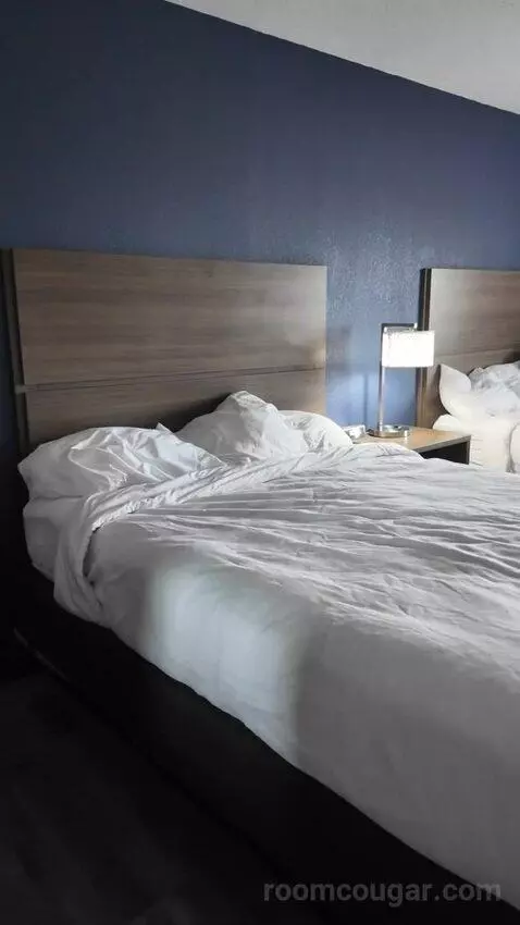 Efficiency Queen Suite with Two Queen Beds bed picture #2