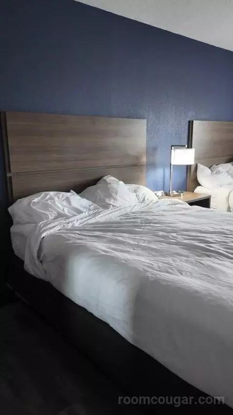 Efficiency Queen Suite with Two Queen Beds picture #4