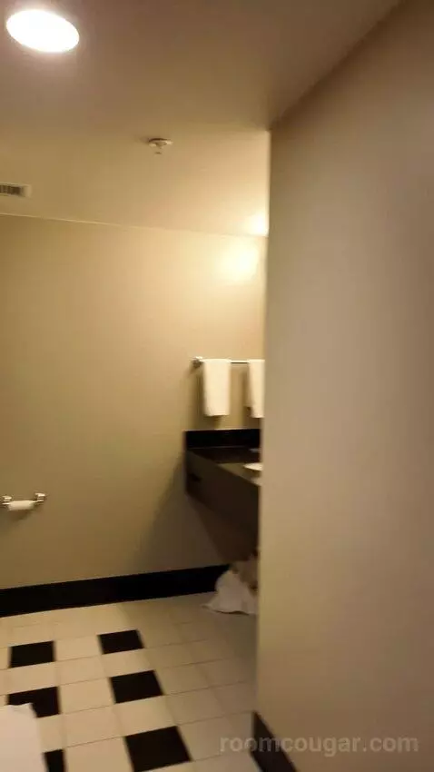 Double Room with Two Double Beds bathroom picture #3