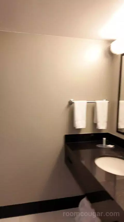 Double Room with Two Double Beds bathroom picture #4