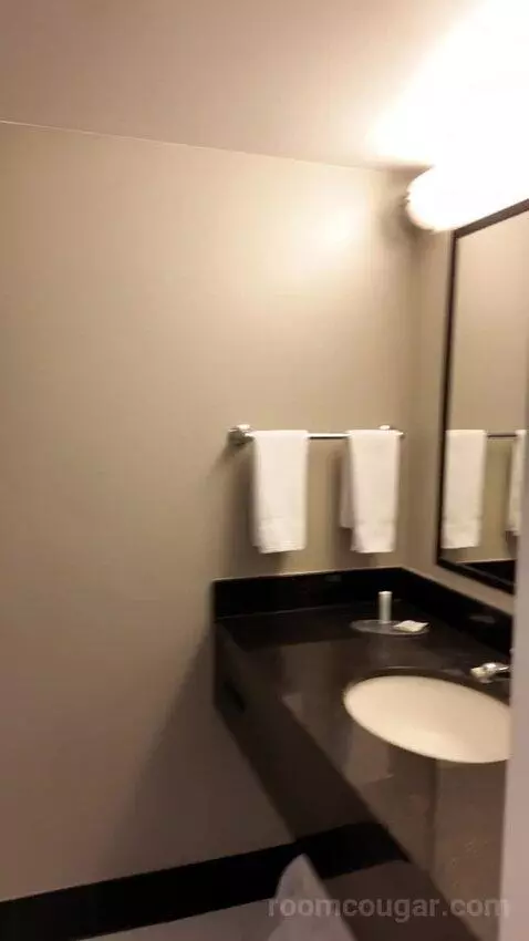 Double Room with Two Double Beds bathroom picture #5
