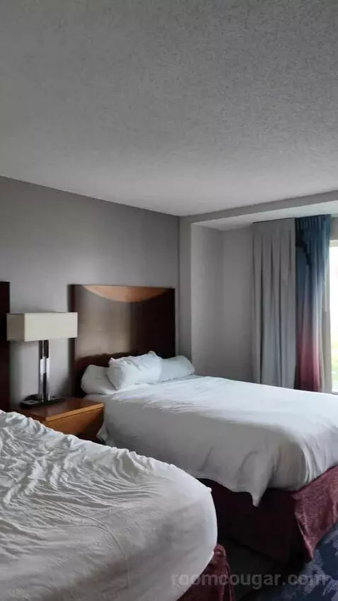 Double Room with Two Double Beds bed picture #11