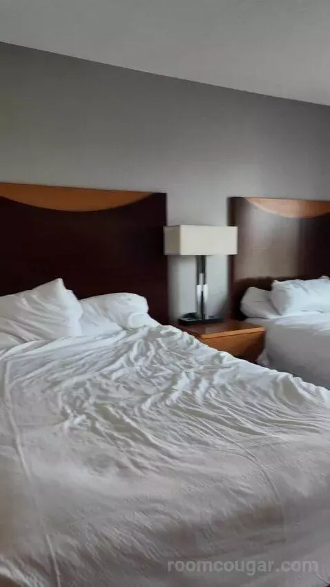 Double Room with Two Double Beds bed picture #2