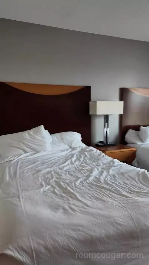 Double Room with Two Double Beds bed picture #3