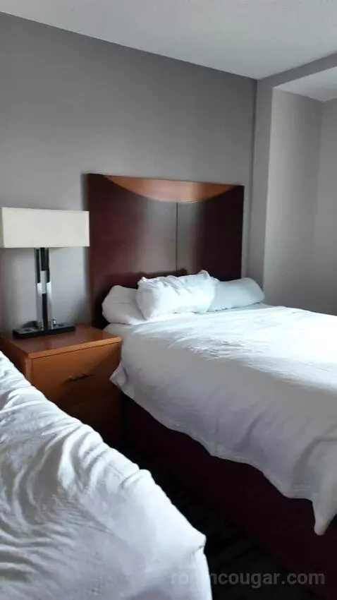 Double Room with Two Double Beds bed picture #4