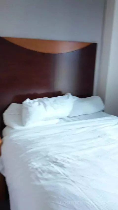 Double Room with Two Double Beds bed picture #7