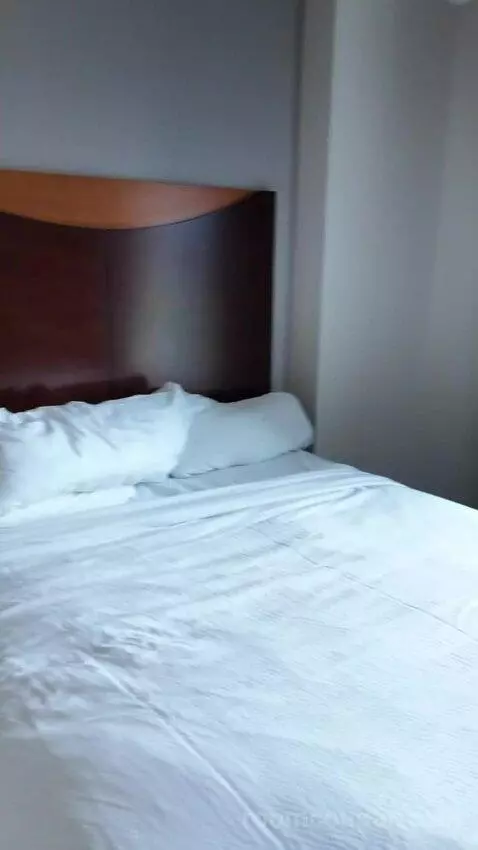 Double Room with Two Double Beds bed picture #8