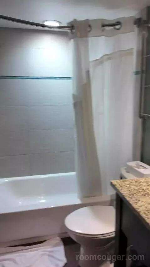 Double Room with Two Double Beds bathroom picture #1