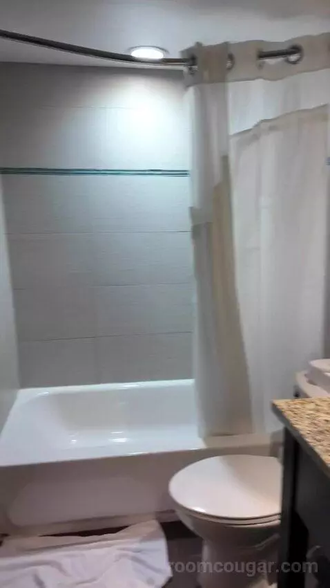 Double Room with Two Double Beds bathroom picture #2