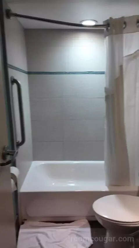 Double Room with Two Double Beds bathroom picture #4