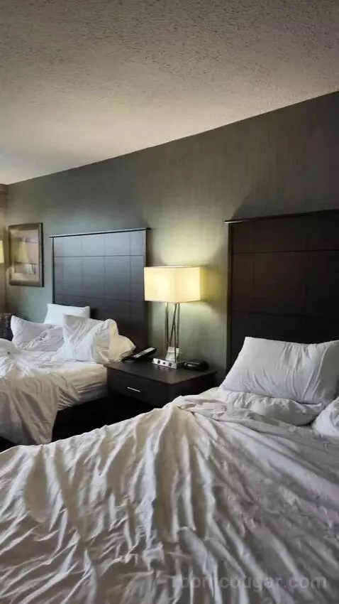 Double Room with Two Double Beds bed picture #11