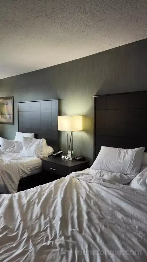Double Room with Two Double Beds bed picture #12