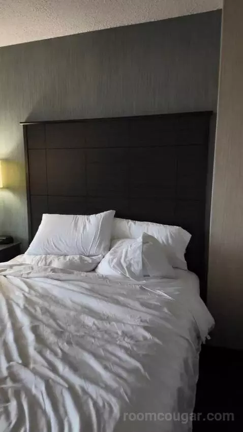 Double Room with Two Double Beds bed picture #3