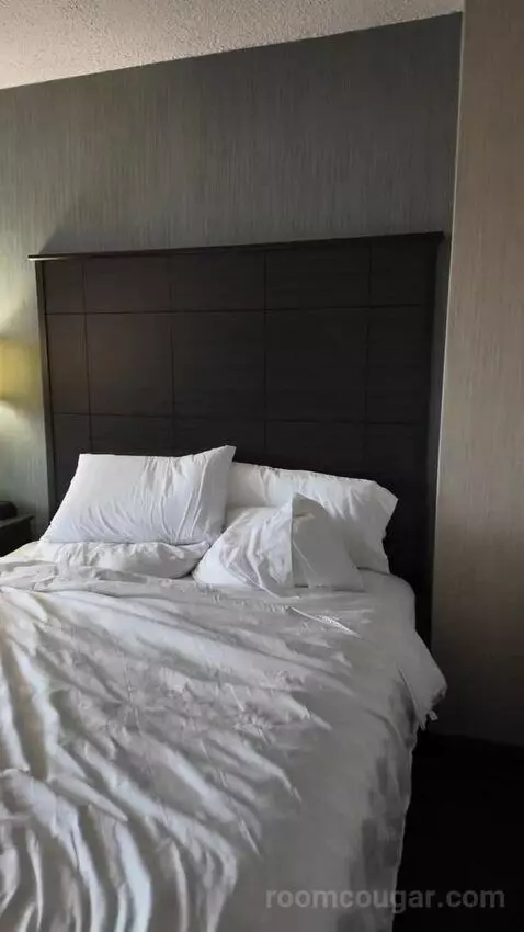 Double Room with Two Double Beds bed picture #4