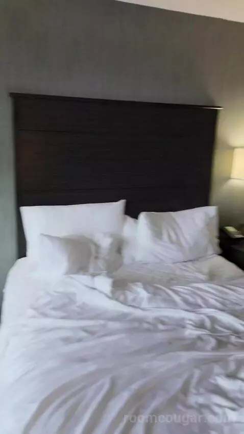 Double Room with Two Double Beds bed picture #5