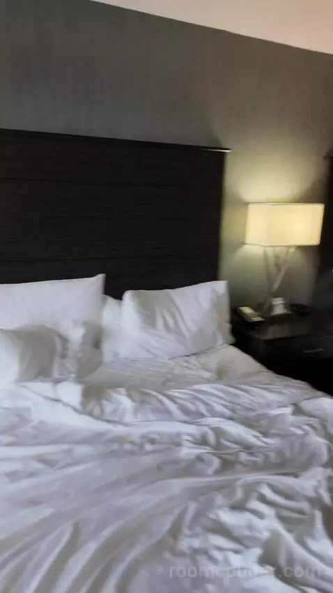 Double Room with Two Double Beds bed picture #6
