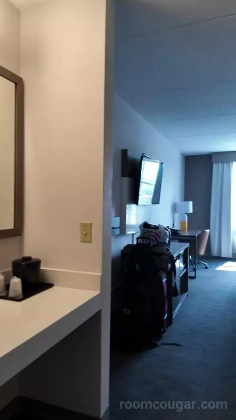 Studio Suite with Two Queen Beds bed picture #1